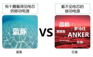 蓝豚微科技 以设计驱动，以策略领航，铸就品牌营销新高度