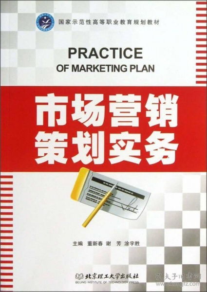 市场营销策划实务 从策略到执行的系统性蓝图